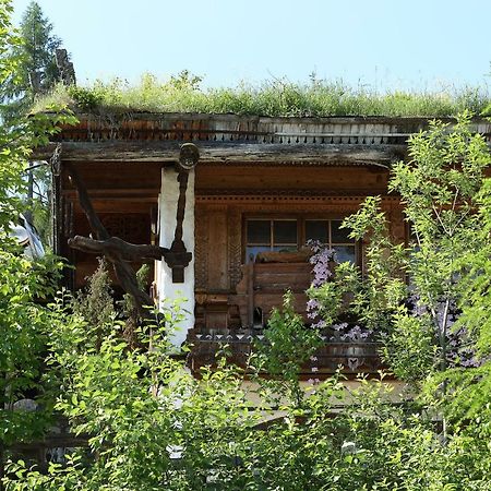 Chalet Alm Planai Шладминг Экстерьер фото