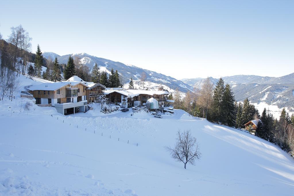 Chalet Alm Planai Шладминг Экстерьер фото